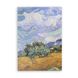 Скетчбук "V.Gogh 1889" plus manuscript-M-VG1889plus фото 2